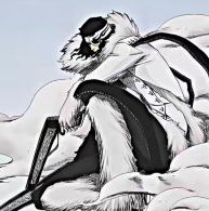 Coyote Starrk