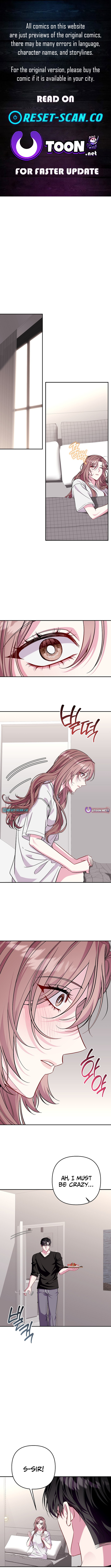 A Romance Beyond Boundaries Chapter 29 Page 1