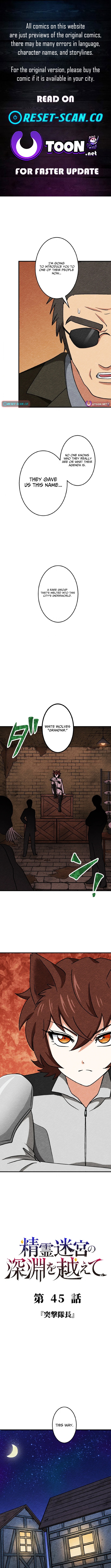 Beyond the Spirit Labyrinth’s Abyss Chapter 45 Page 1