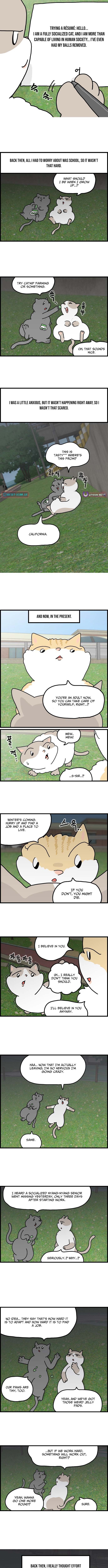 First Chapter Job Cat - Chapter 1 Page 1