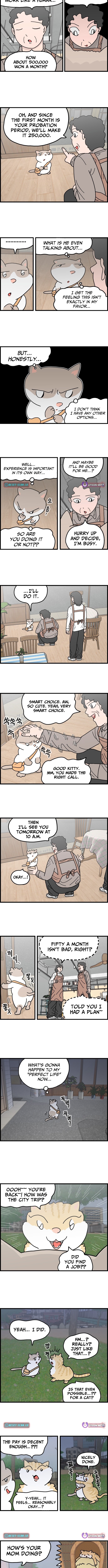 First Chapter Job Cat - Chapter 3 Page 1