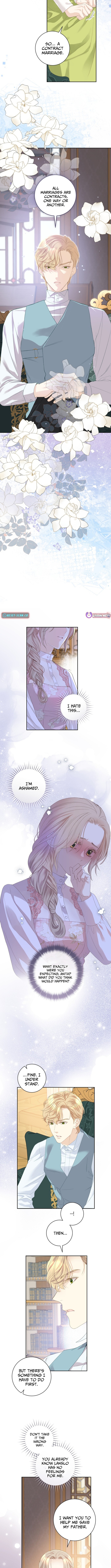For My Husband's New Wife Chapter 12 Page 1