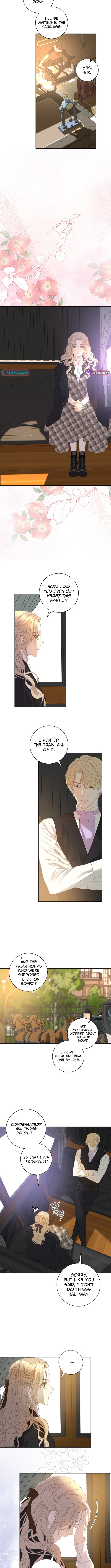 For My Husband's New Wife Chapter 17 Page 1