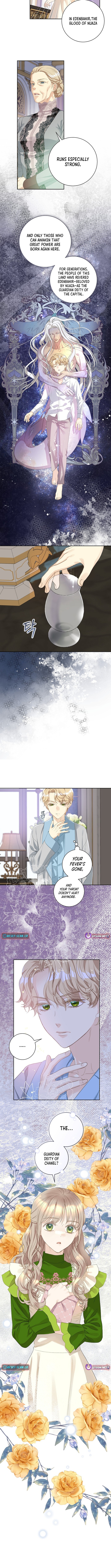 For My Husband's New Wife Chapter 5 Page 1