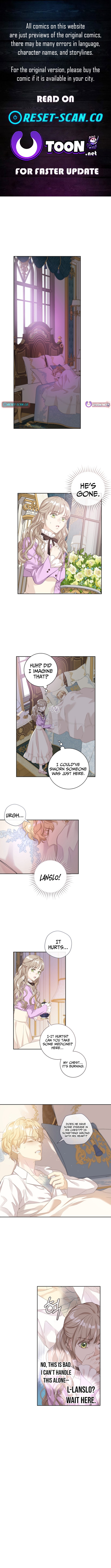 For My Husband's New Wife Chapter 7 Page 1