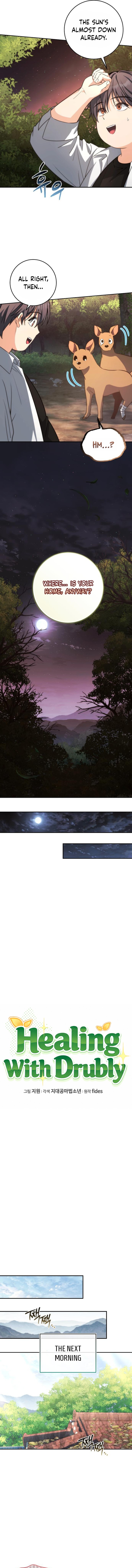 Healing With Deulbi Chapter 4 Page 1