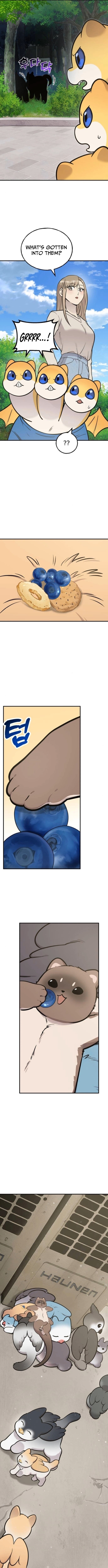 Hello, Fluffy Griffin! Chapter 38 Page 1