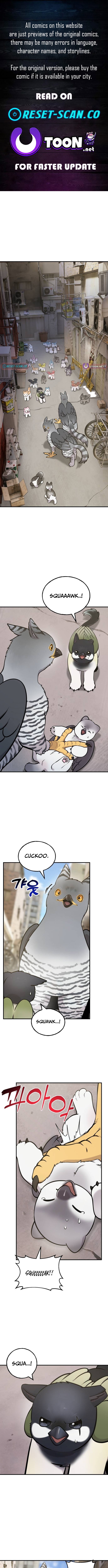 Hello, Fluffy Griffin! Chapter 39 Page 1