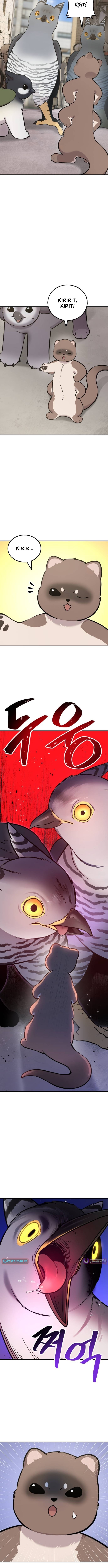 Hello, Fluffy Griffin! Chapter 39 Page 1