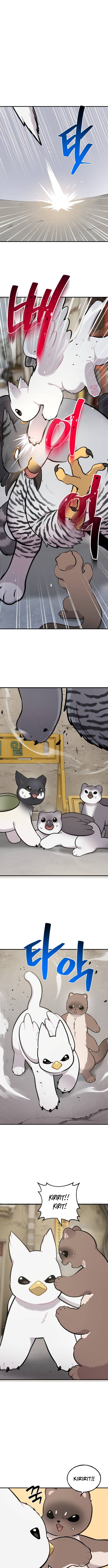 Hello, Fluffy Griffin! Chapter 39 Page 1