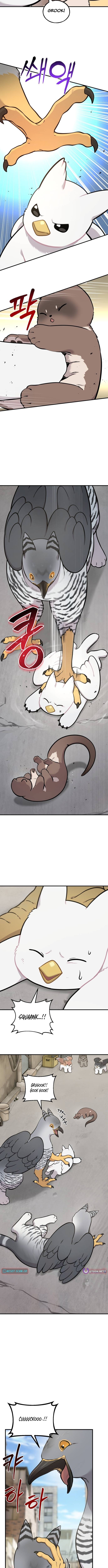 Hello, Fluffy Griffin! Chapter 39 Page 1