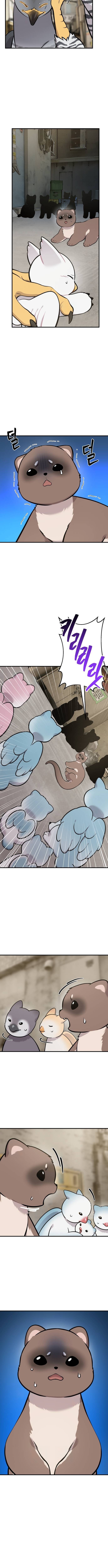 Hello, Fluffy Griffin! Chapter 39 Page 1