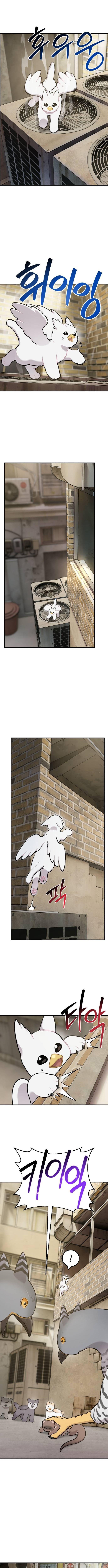 Hello, Fluffy Griffin! Chapter 39 Page 1