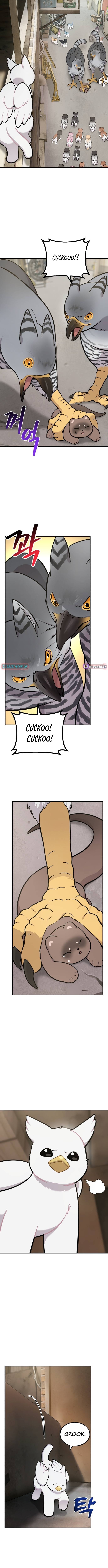 Hello, Fluffy Griffin! Chapter 39 Page 1