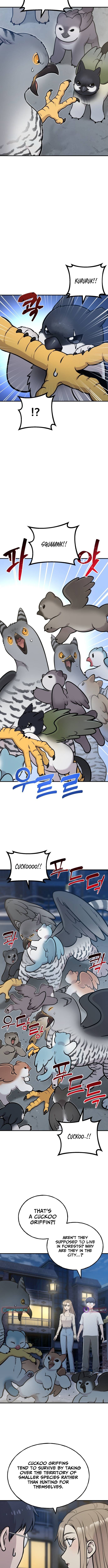 Hello, Fluffy Griffin! Chapter 42 Page 1