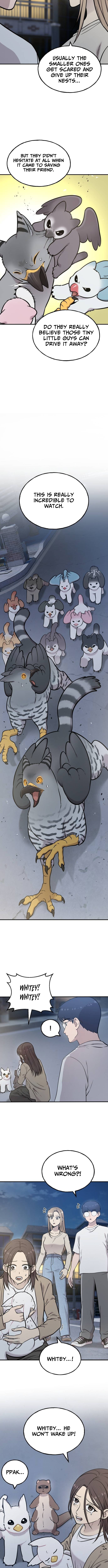 Hello, Fluffy Griffin! Chapter 42 Page 1