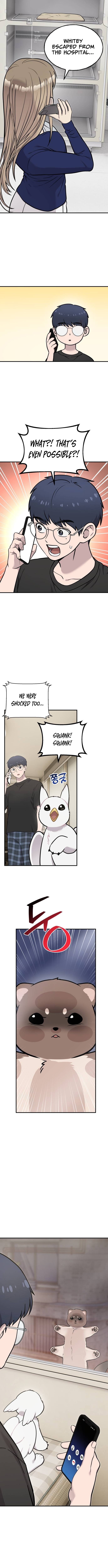 Hello, Fluffy Griffin! Chapter 42 Page 1