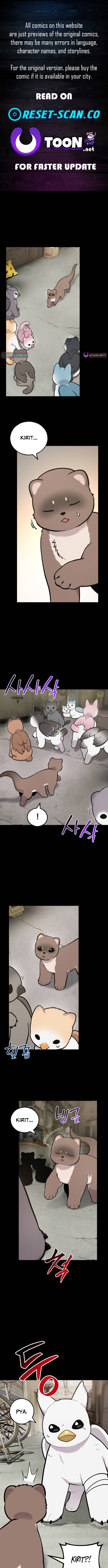 Hello, Fluffy Griffin! Chapter 43 Page 1