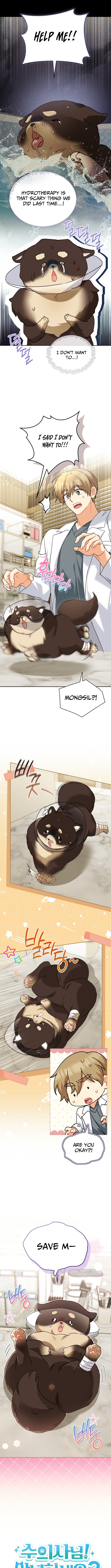 Hello, Veterinarian! Chapter 128 Page 1