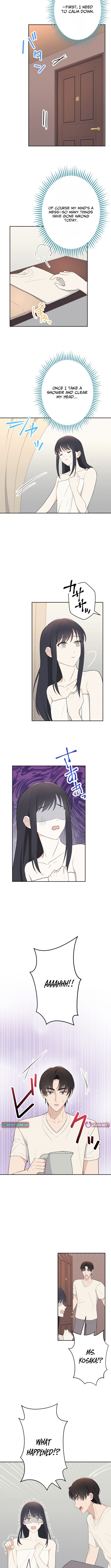 How to Start a Fated Love Chapter 19 Page 1