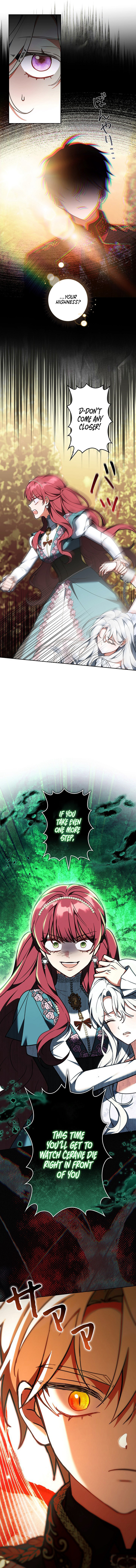 I Was Supposed to Be a Stalker Noble Lady, but Somehow I'm Being Adored Instead Chapter 29 Page 1