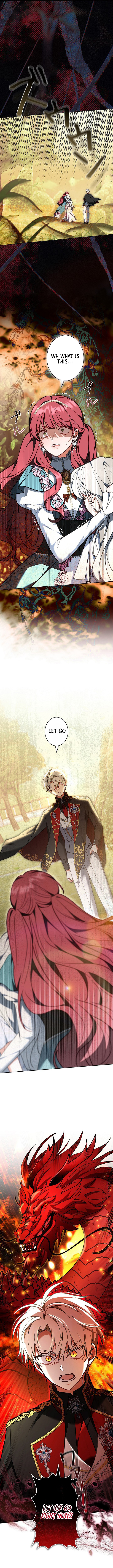I Was Supposed to Be a Stalker Noble Lady, but Somehow I'm Being Adored Instead Chapter 29 Page 1