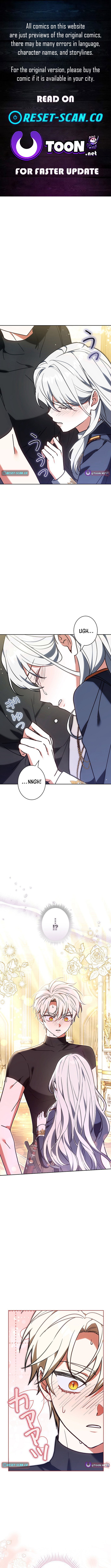I Was Supposed to Be a Stalker Noble Lady, but Somehow I'm Being Adored Instead Chapter 37 Page 1