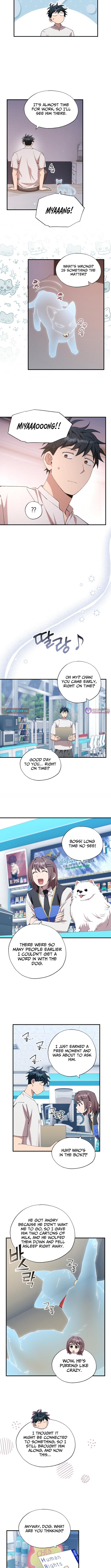 Magical Realm Shopkeeper Chapter 91 Page 1