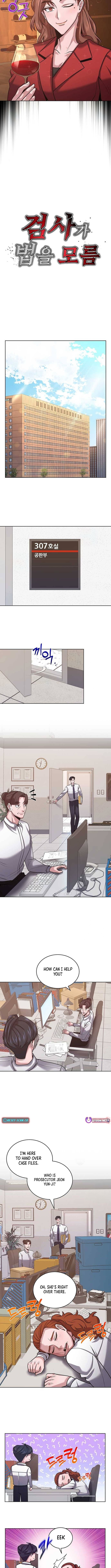 Prosecutor Who Doesn't Know the Law Chapter 17 Page 1