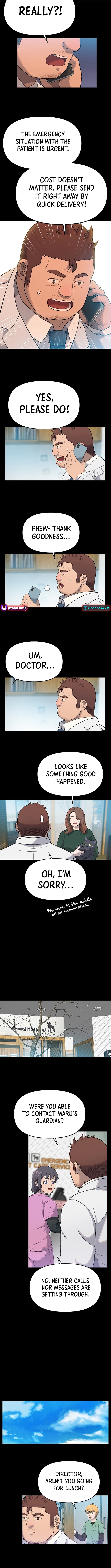 The Rainbow Bridge Guardian Chapter 13 Page 1