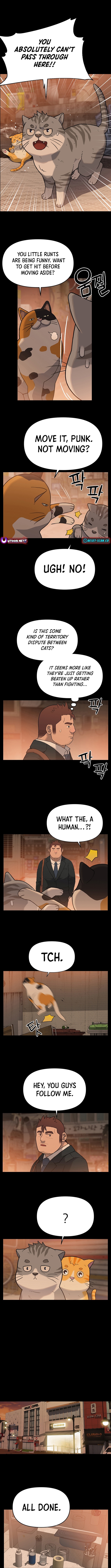 The Rainbow Bridge Guardian Chapter 14 Page 1