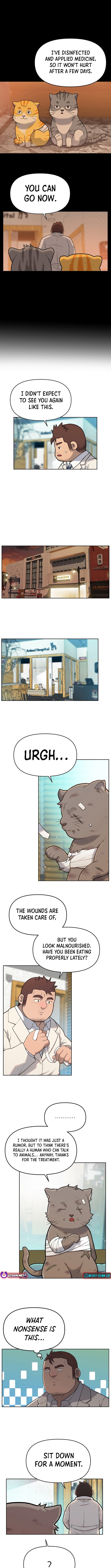The Rainbow Bridge Guardian Chapter 14 Page 1