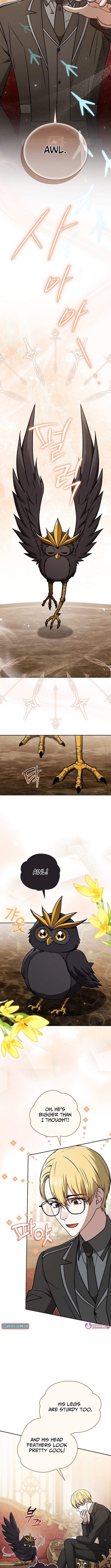 The Genius of Magical Mastery Chapter 37 Page 1