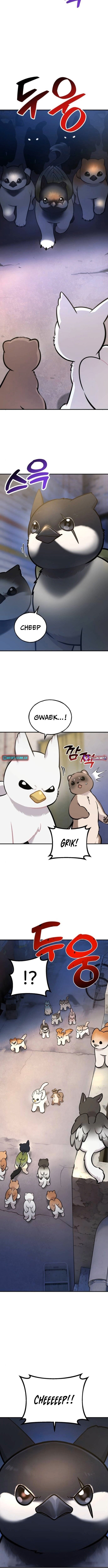 Hello, Fluffy Griffin! Chapter 36 Page 1
