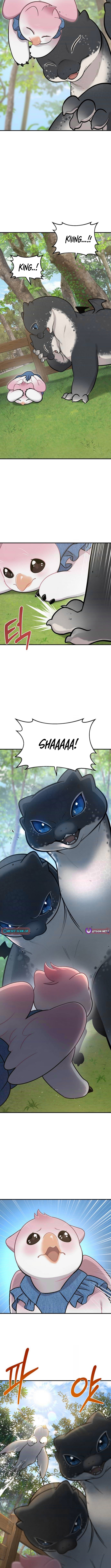 Hello, Fluffy Griffin! Chapter 09 Page 1