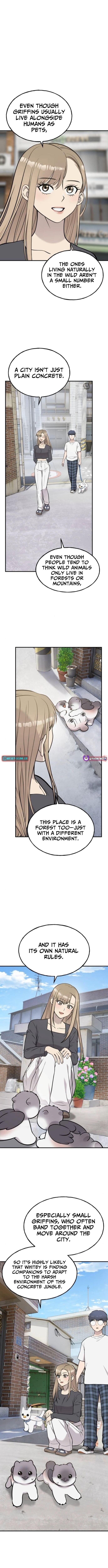 Hello, Fluffy Griffin! Chapter 37 Page 1