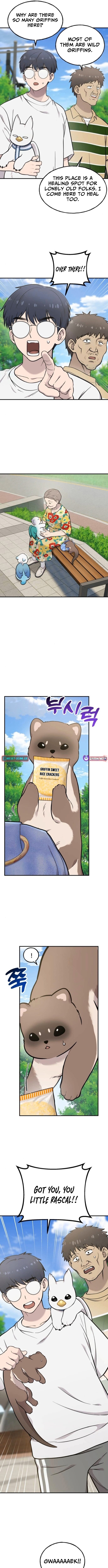 Hello, Fluffy Griffin! Chapter 37 Page 1