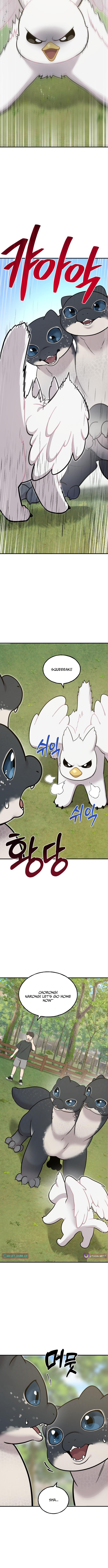Hello, Fluffy Griffin! Chapter 10 Page 1