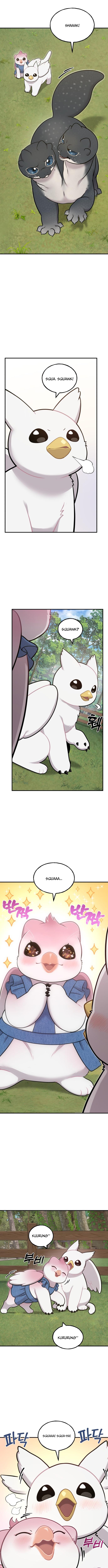 Hello, Fluffy Griffin! Chapter 10 Page 1