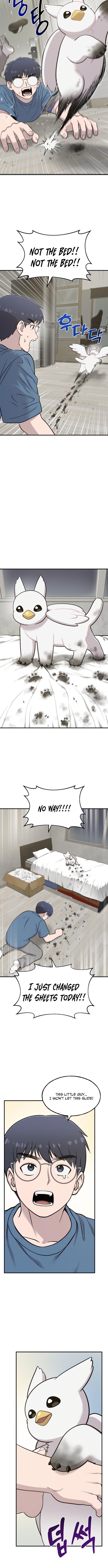 Hello, Fluffy Griffin! Chapter 10 Page 1