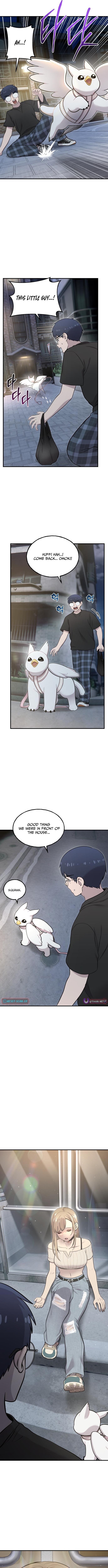 Hello, Fluffy Griffin! Chapter 12 Page 1