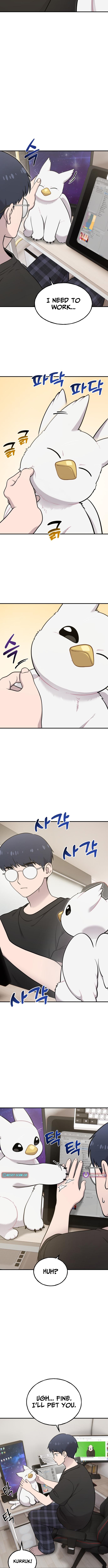 Hello, Fluffy Griffin! Chapter 17 Page 1