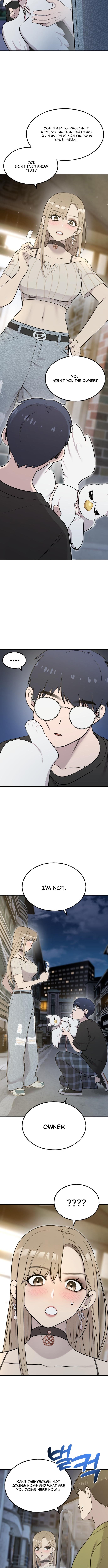 Hello, Fluffy Griffin! Chapter 13 Page 1