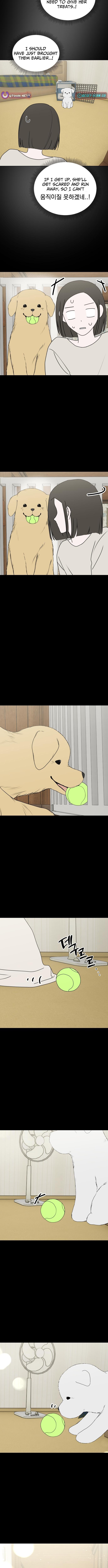 Puppy Star Chapter 08 Page 1
