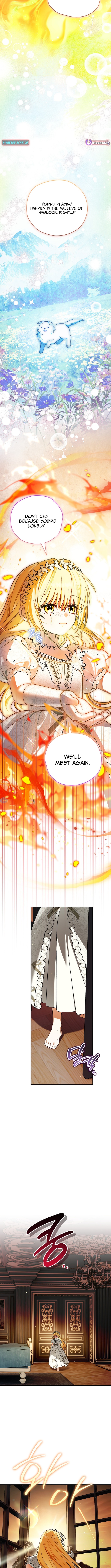 To My Beloved Wolf Chapter 26 Page 1