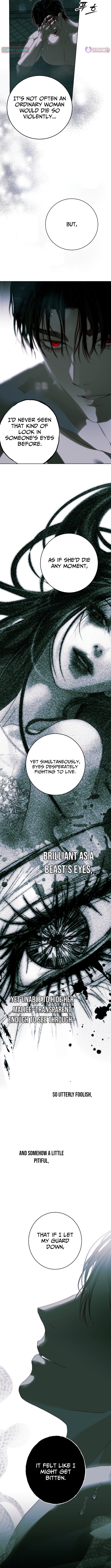 Shards of Broken Glass Slippers Chapter 30 Page 1