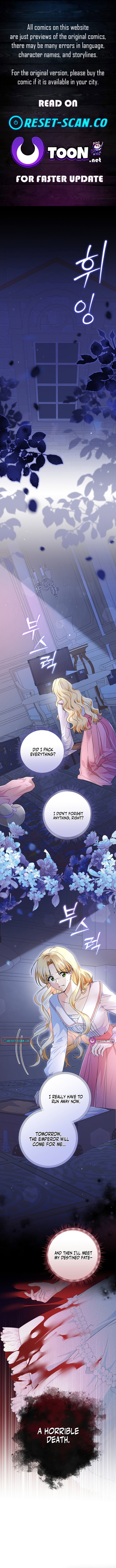 Stop Obsessing, Please Divorce Me! Chapter 01 Page 1