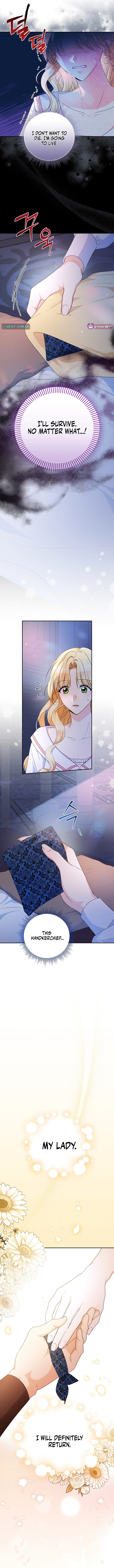 Stop Obsessing, Please Divorce Me! Chapter 01 Page 1