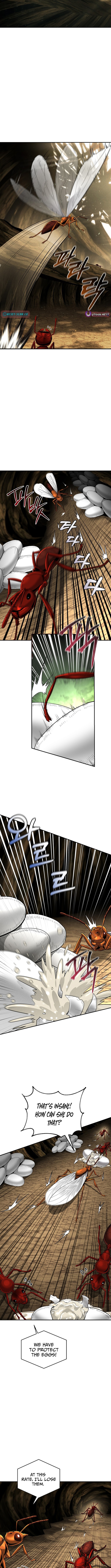 Empire of the Ants Chapter 18 Page 1
