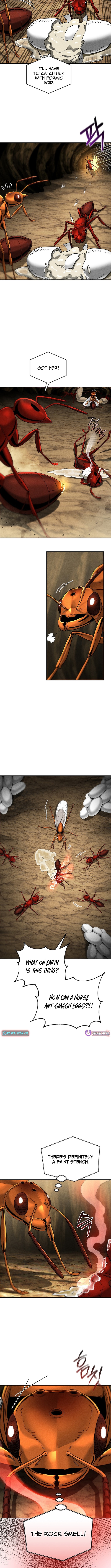 Empire of the Ants Chapter 18 Page 1